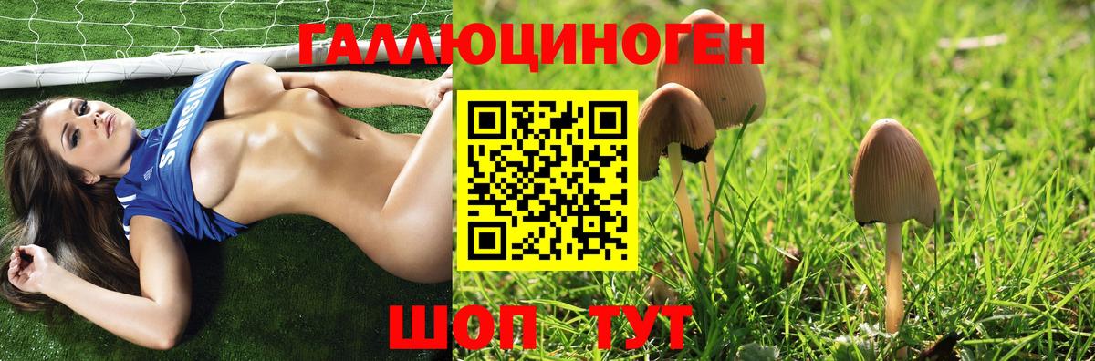 Артём  Псилоцибиновые грибы мухоморы  продажа наркотиков  Вход с VPN 
